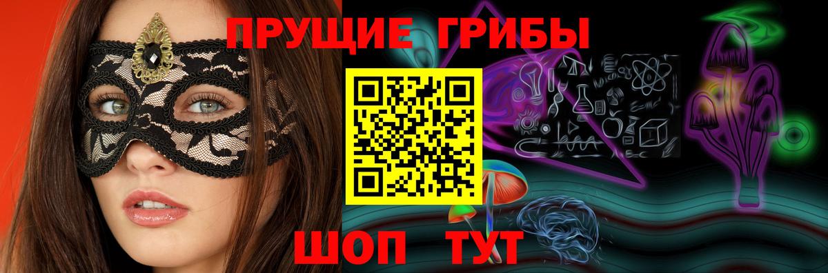цены наркотик  Псилоцибиновые грибы прущие грибы  Вход с VPN  Карачаевск 